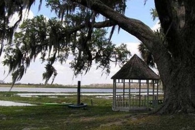 A gazebo under a large tree by a lakeside with a distant city view.