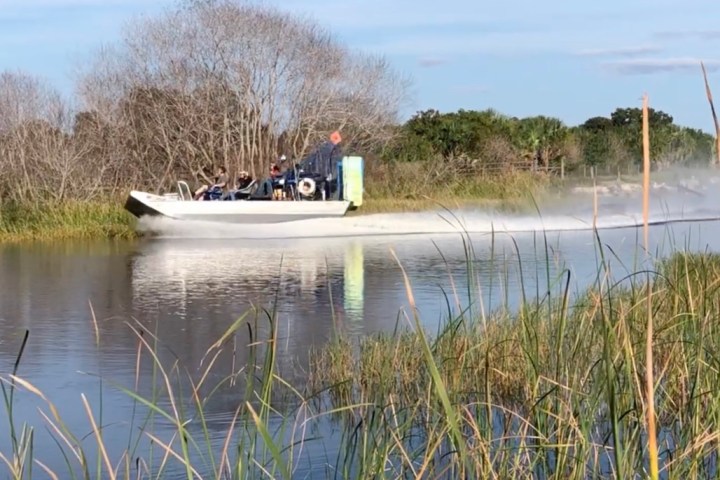 Airboat gliding through water in a marshy area with passengers, surrounded by tall grass and trees.