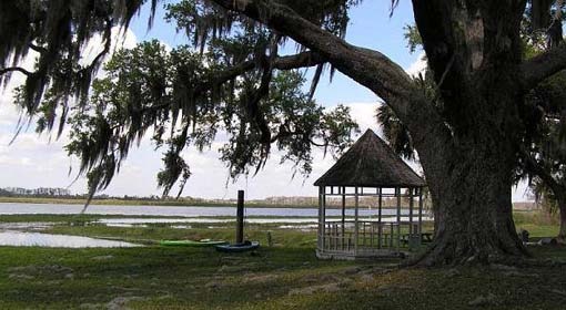 imgi_8_4-hour-airboat-tour Lakeside tree with Spanish moss beside a small gazebo and kayak on grass.